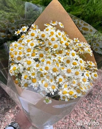 Букеты ромашек