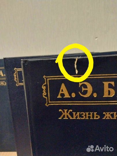 Брэм А.Э. Жизнь животных