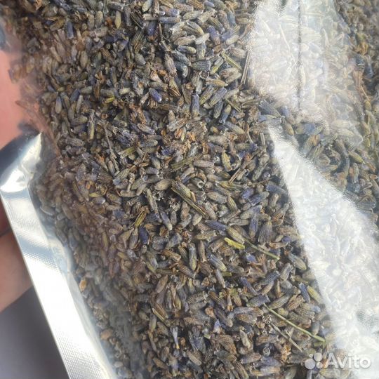 Лаванда сухоцвет