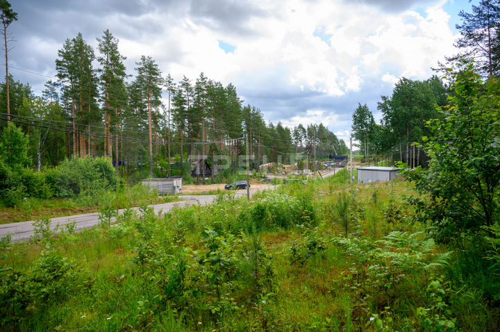 Участок 11 сот. (СНТ, ДНП)