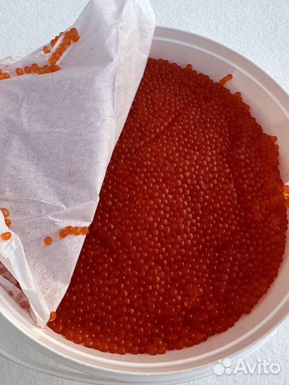 Икра форели