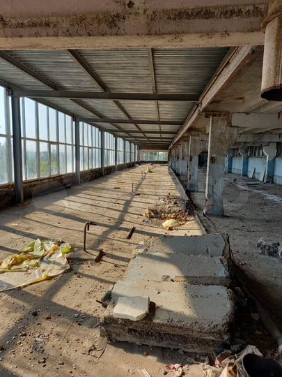 Свободного назначения, 1100 м²