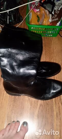 Carlo pazolini сапоги