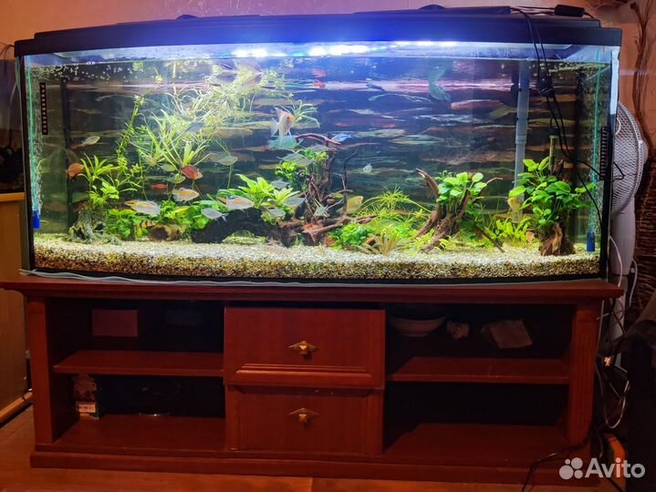 Аквариум с тумбой 429 литров