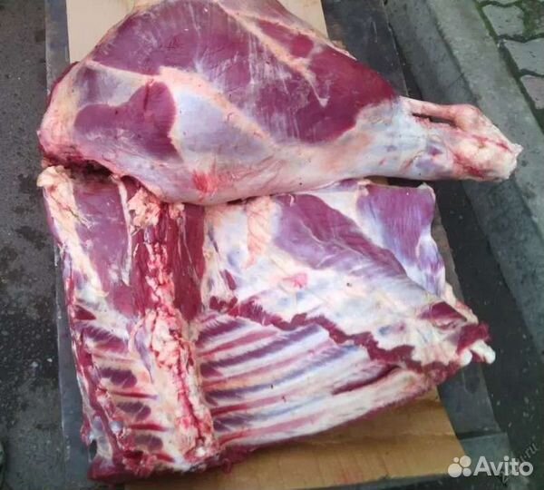 Мясо телятина