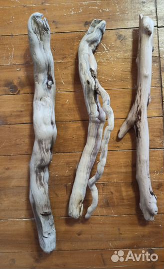 Коряги дрифтвуд