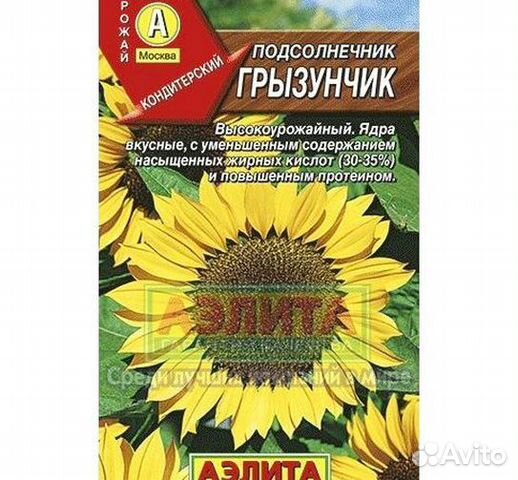 Семена Подсолнечник купить в Сочи | Товары для дома и дачи | Авито
