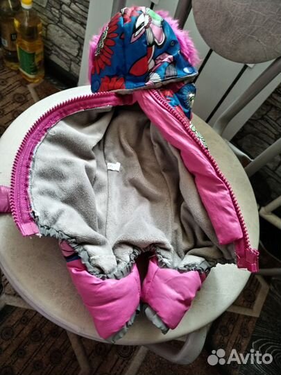 Одежда для щенка той терьера