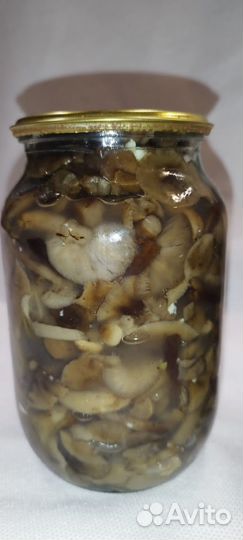 Грибы маринованные
