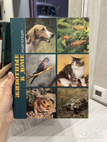 Энциклапедия 