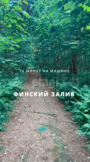 Участок 15,5 сот. (СНТ, ДНП)