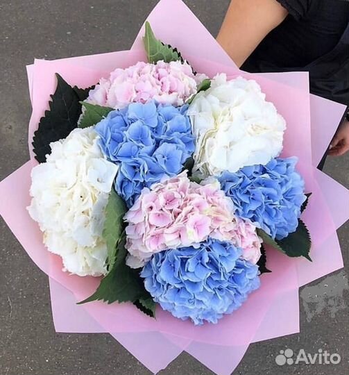 Букеты Гортензии (доставка)