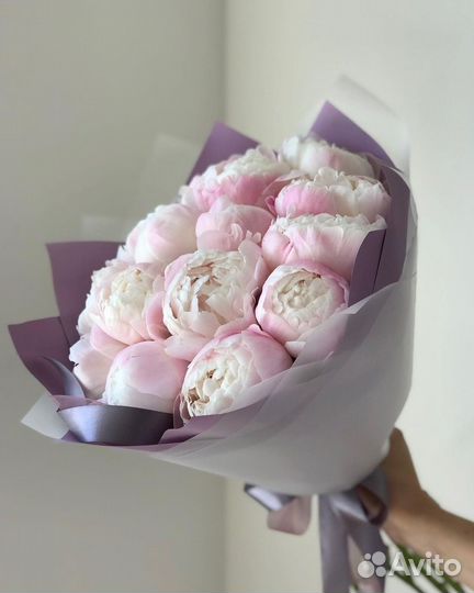 Букет пионов (Голландия)