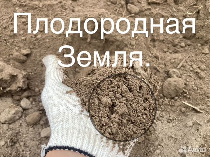 Земля, перегной, навоз, торф