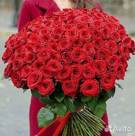 Высокие розы Гигантские Розы 150 160 170 180 190см