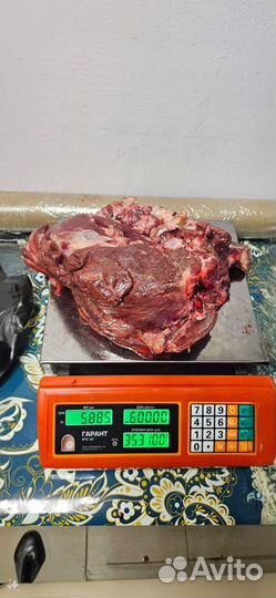 Мясо кабана дикого