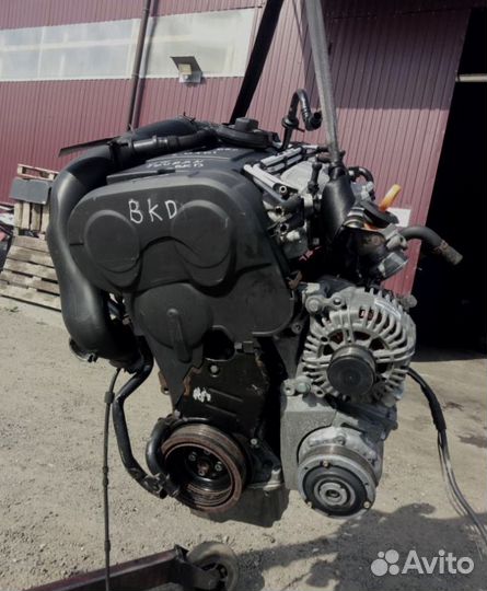 Двигатель к Audi A3 8P 2.0 BKD
