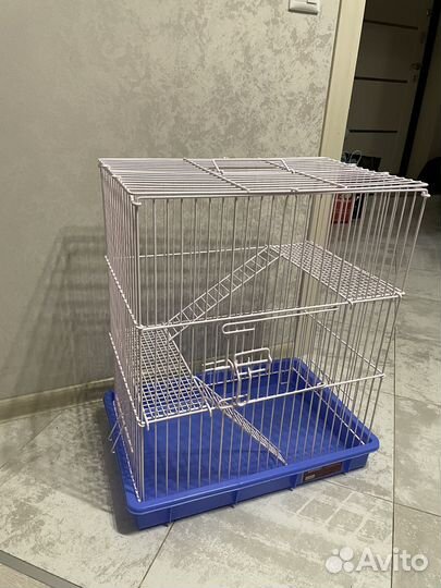 Клетка