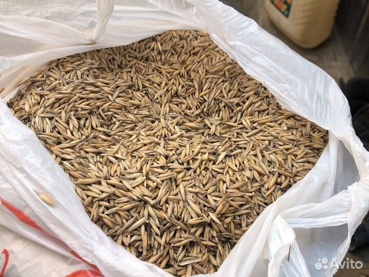 Сено разнотравье, солома в рулонах