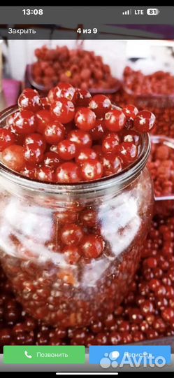 Брусника ягода свежая, Клюква отборная