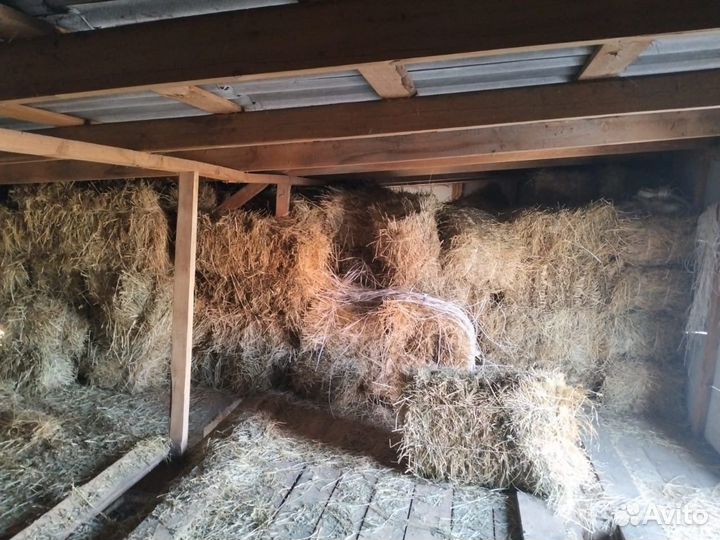 Сено в тюках