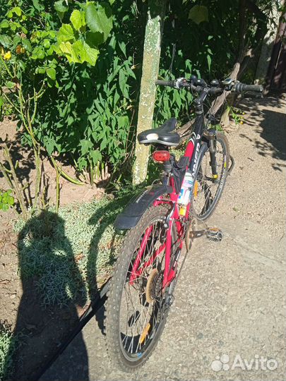 Велосипед Winner Paladin