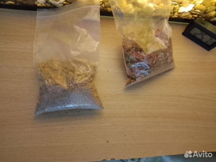 Аквариум со всем внутри