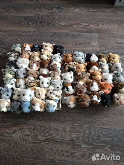 Котята коллекция