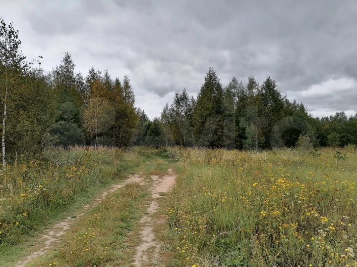 Участок 12,03 га (СНТ, ДНП)