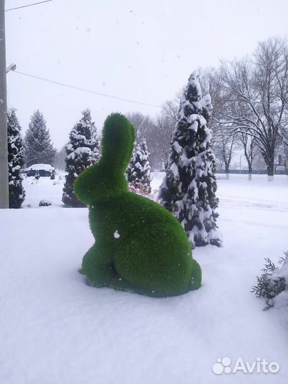 Кролик топиари