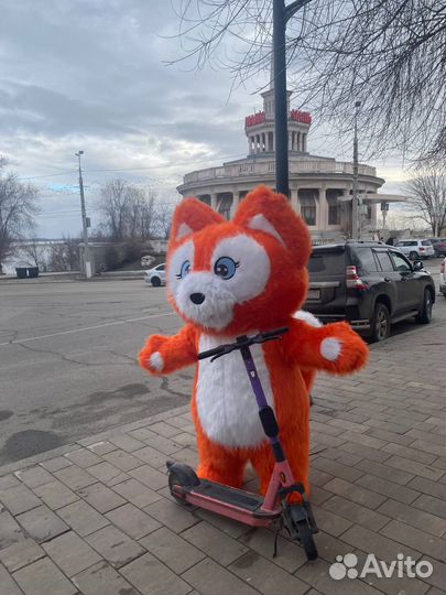 Ростовая кукла Панда и Лисенок поздравит