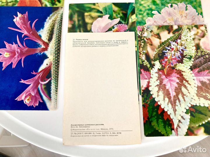 Наборы открыток СССР комнатные растения