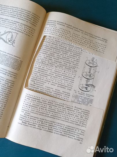 Учебник анатомии человека 1953 медгиз