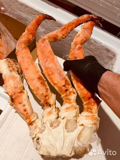 Клешни Камчатского краба
