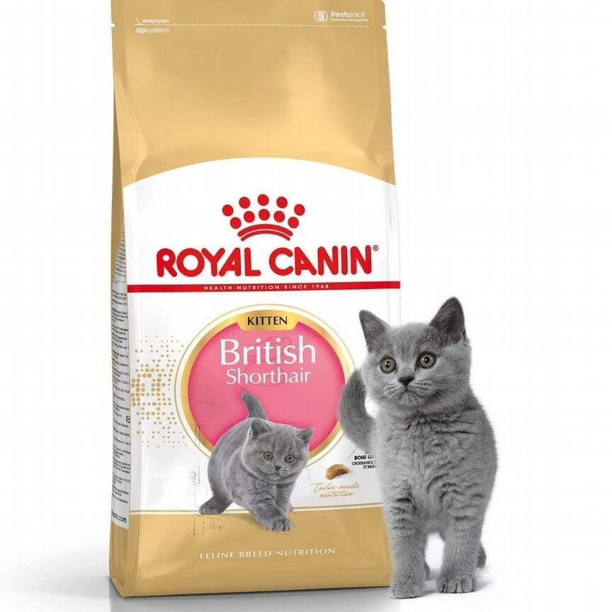 Корм для кошек royal canin british kids