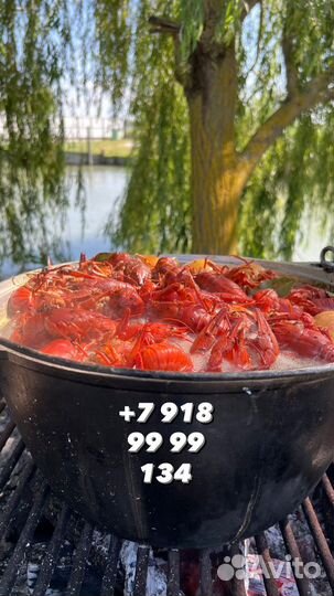 Раки