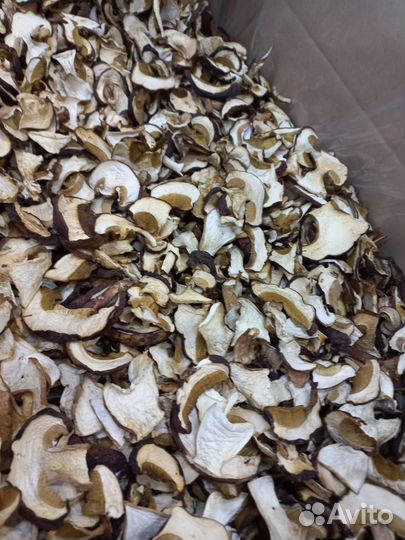 Сухие грибы белые