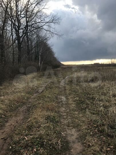 Участок 2,5 га (СНТ, ДНП)