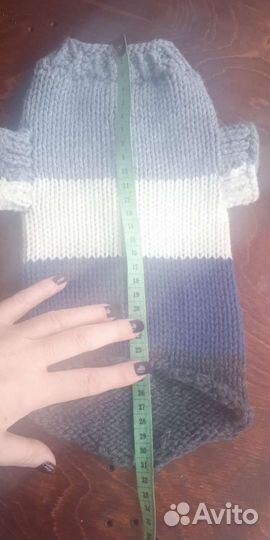 Тёплый свитер для сфинкса