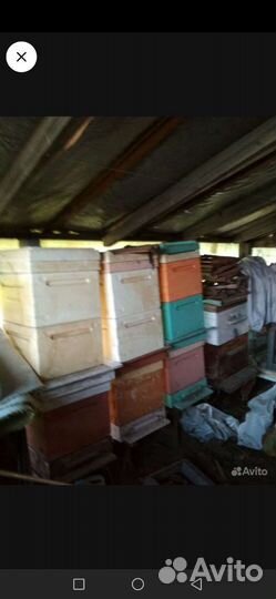 Пасечное оборудование