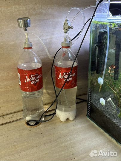 Система CO2 для аквариума