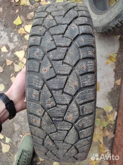 Matador MP 51 Sibir 2 185/65 R15