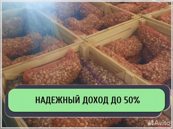 Ищем инвестора / Доход до 50%