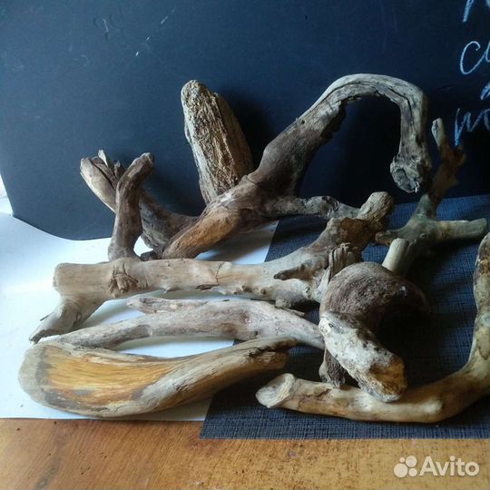Коряги дрифтвуд. Набор 8 шт. Лот 111
