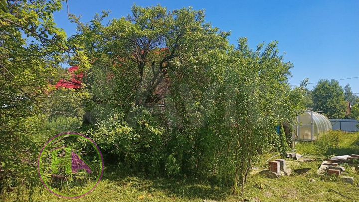 Участок 6 сот. (СНТ, ДНП)