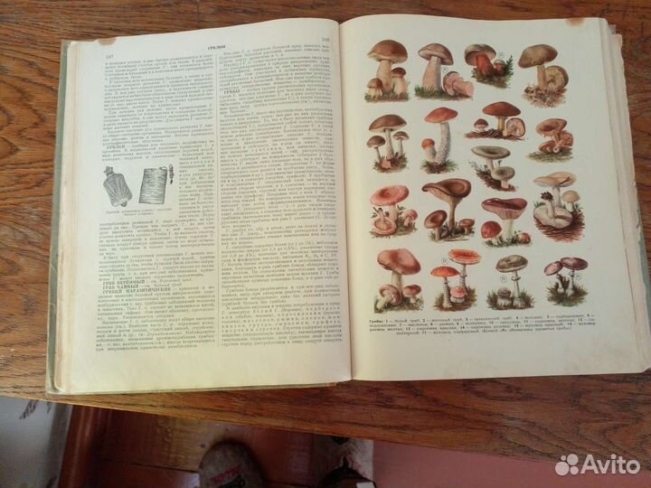 Популярная медицинская энциклопедия, 1965