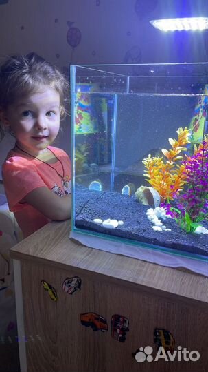 Аквариум + полный комплект для запуска под ключ