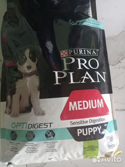 Питомник дрт