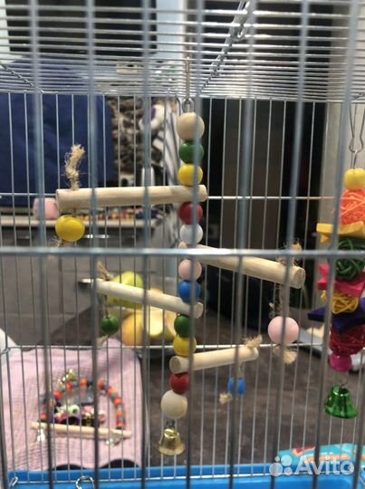 Клетка для птиц