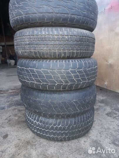 Pirelli Dragon 205/70 R15